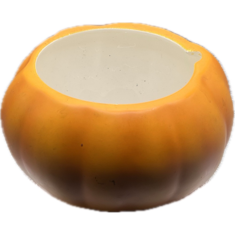 Teleflora Gift Ceramic Pumpkin Bowl Planter Orange Fall Autumn Halloween‎ Decor